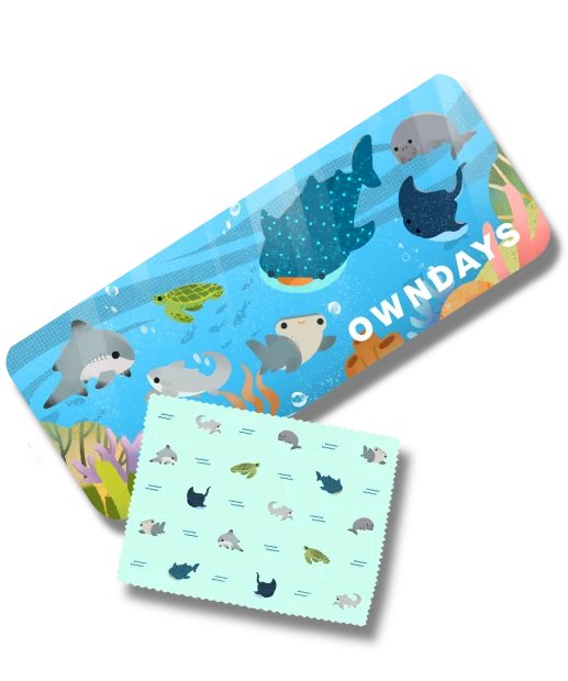 Save Philippine Seas eyewear case artwork