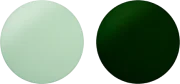 เลนส์สีเขียว