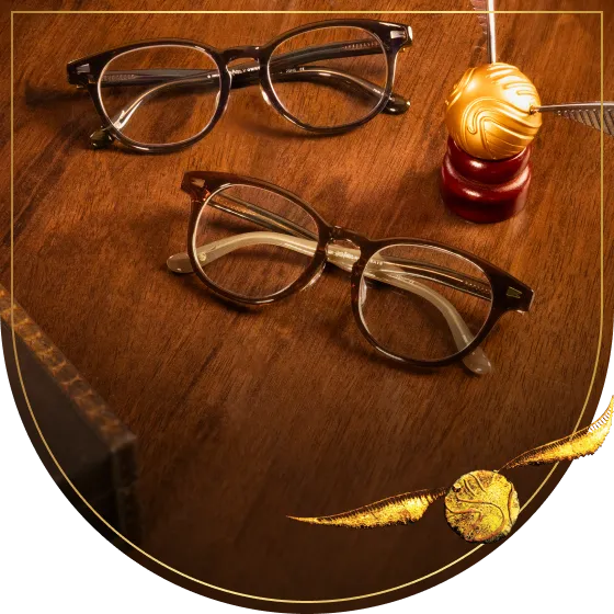  クィディッチmodel 