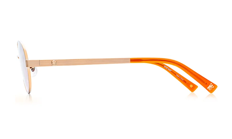 PM1004M-6A