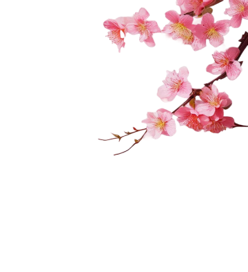 OWNDAYS 春日祭 | 官網限定優惠