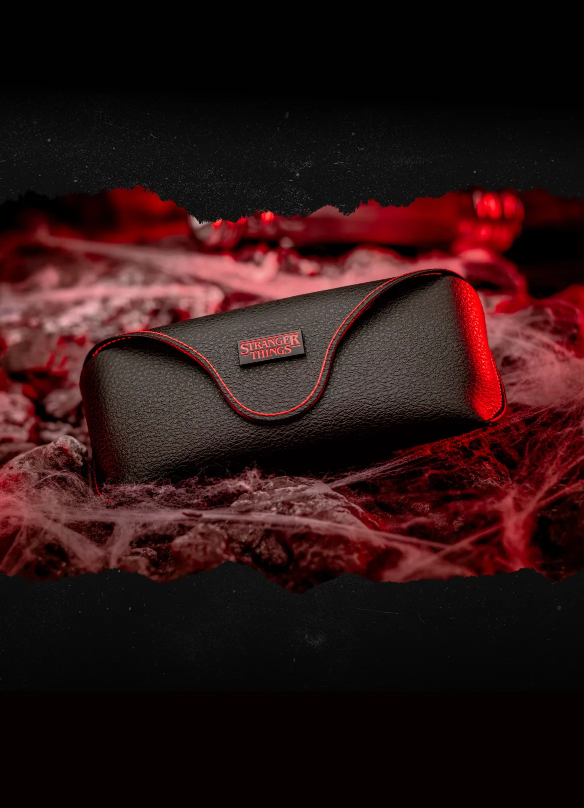 ORIGINAL CASE & CLEANING CLOTH