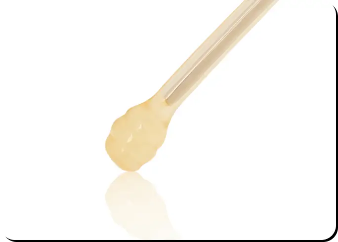 Finished with honey dipper–inspired temple tips, creating a distinctive and unique silhouette.
