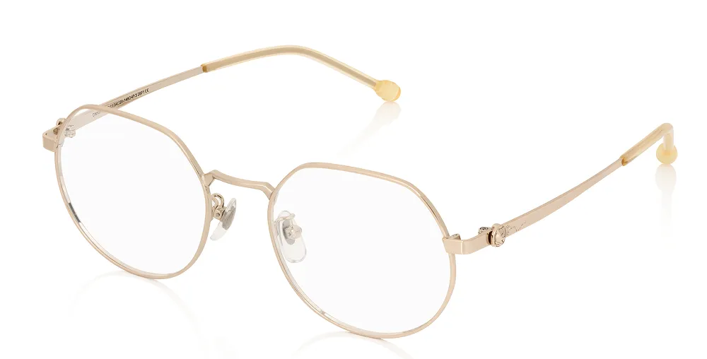 DN1010W-6S C1
