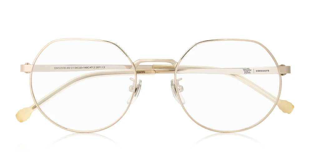 DN1010W-6S C1