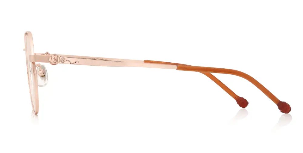 DN1010W-6S C2