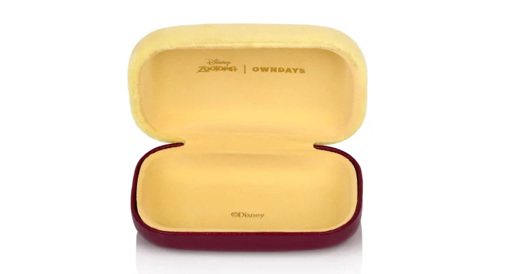 Contact Lens Case Holder