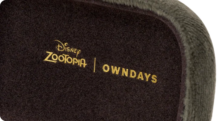 Contact Lens Case Holder