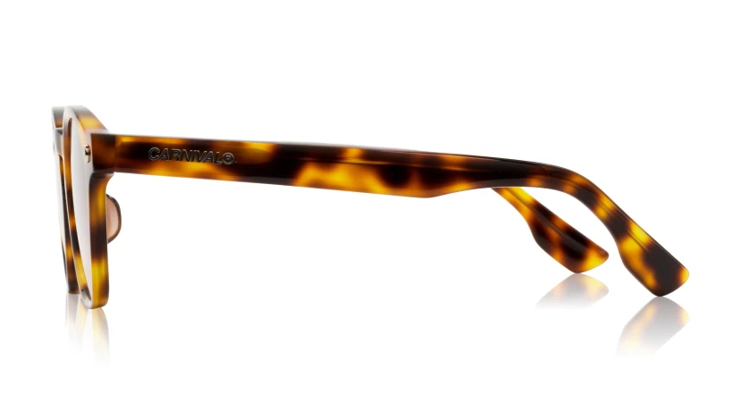 Sunglasses | Eagle Model TH2006M-6S C1