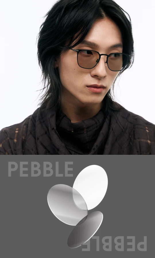 PEBBLE