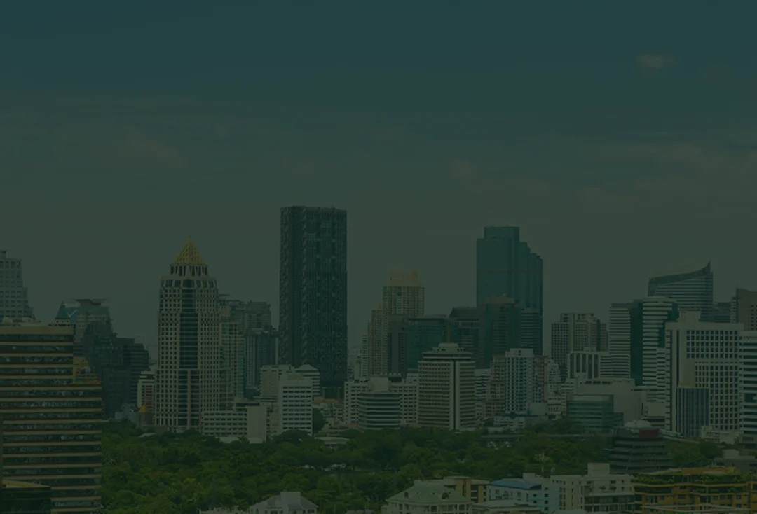 Graphite Green sunny