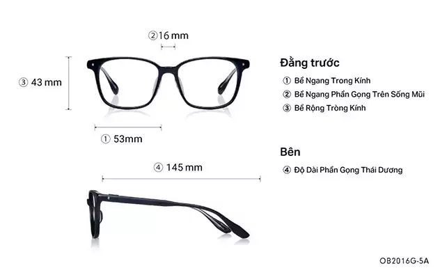 Eyeglasses BACK in BLACK OB2016G-5A  Clear 