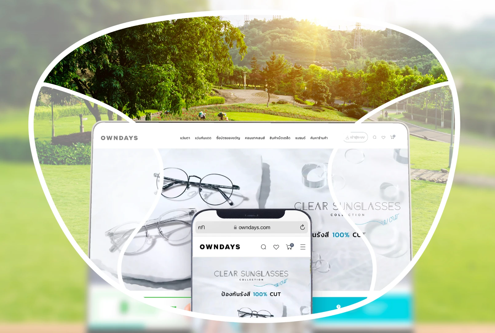 Signature Prestige Lens View