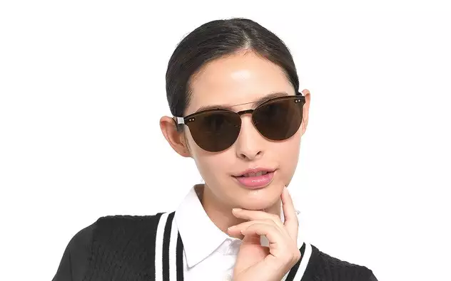Sunglasses +NICHE NC1010-B  Brown 