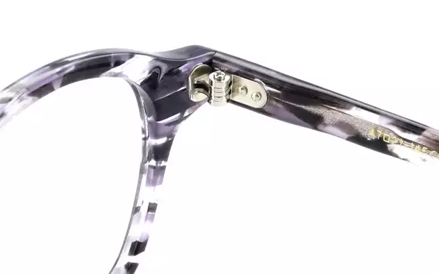 Eyeglasses Senichisaku SENICHI8E  Gray Demi 