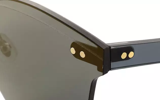 Sunglasses +NICHE NC1010-B  Matte Black 