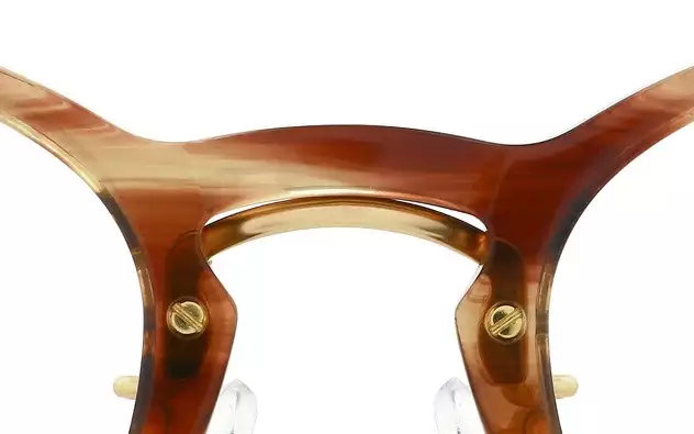 Eyeglasses John Dillinger JD2022-Y  Brown Sasa 