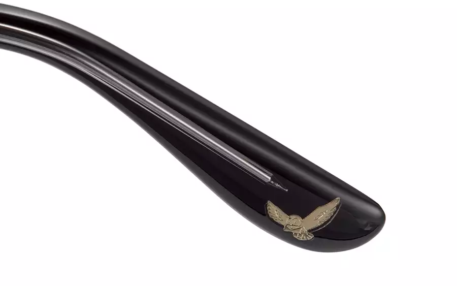Eyeglasses HARRY POTTER × OWNDAYS HP2001B-3A  ブラック 
