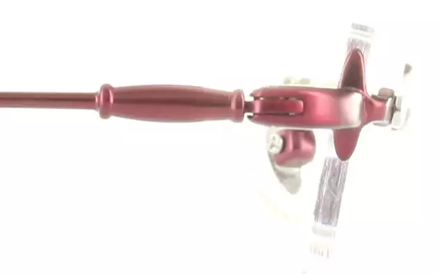 Eyeglasses Graph Belle OB1013  Wine 