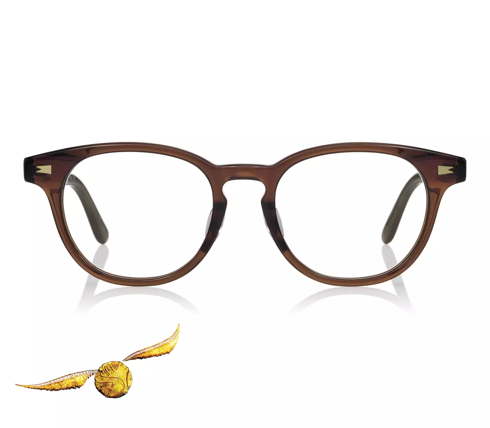 Eyeglasses Harry Potter × OWNDAYS HP2007B-5A  ダークブラウン 