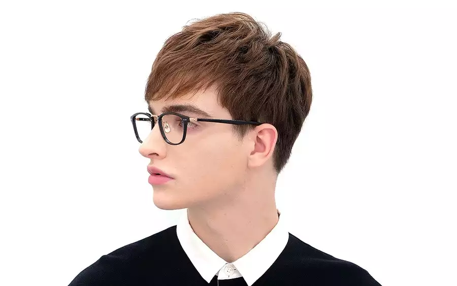 Eyeglasses Senichisaku SENICHI27  Smoke Demi 
