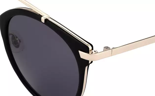 Sunglasses +NICHE NC1001-B  Black 