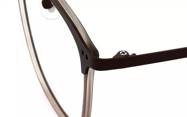 Eyeglasses OWNDAYS SW1002G-8A  Matte  Brown 