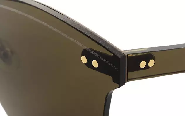Sunglasses +NICHE NC1010-B  Brown 