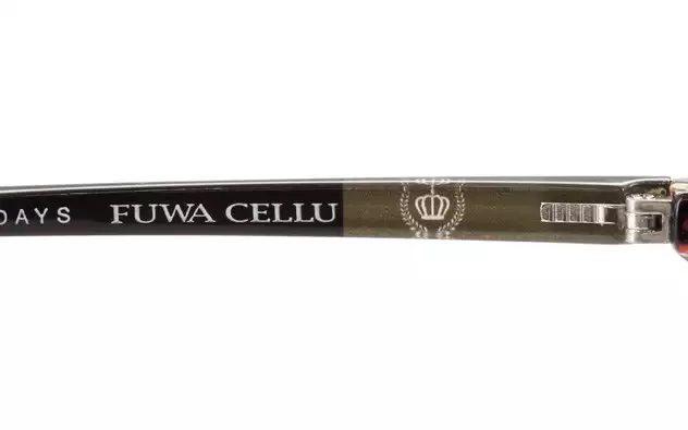 Eyeglasses OWNDAYS | ESSENTIAL FC2002-T  Brown Demi 