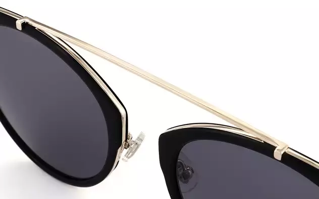Sunglasses +NICHE NC1001-B  Black 