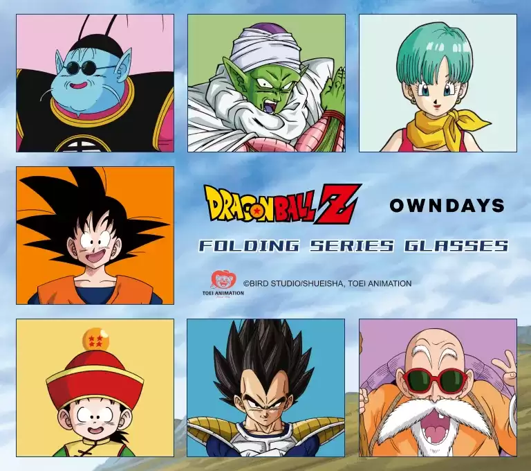 Dragon Ball Z OWNDAYS